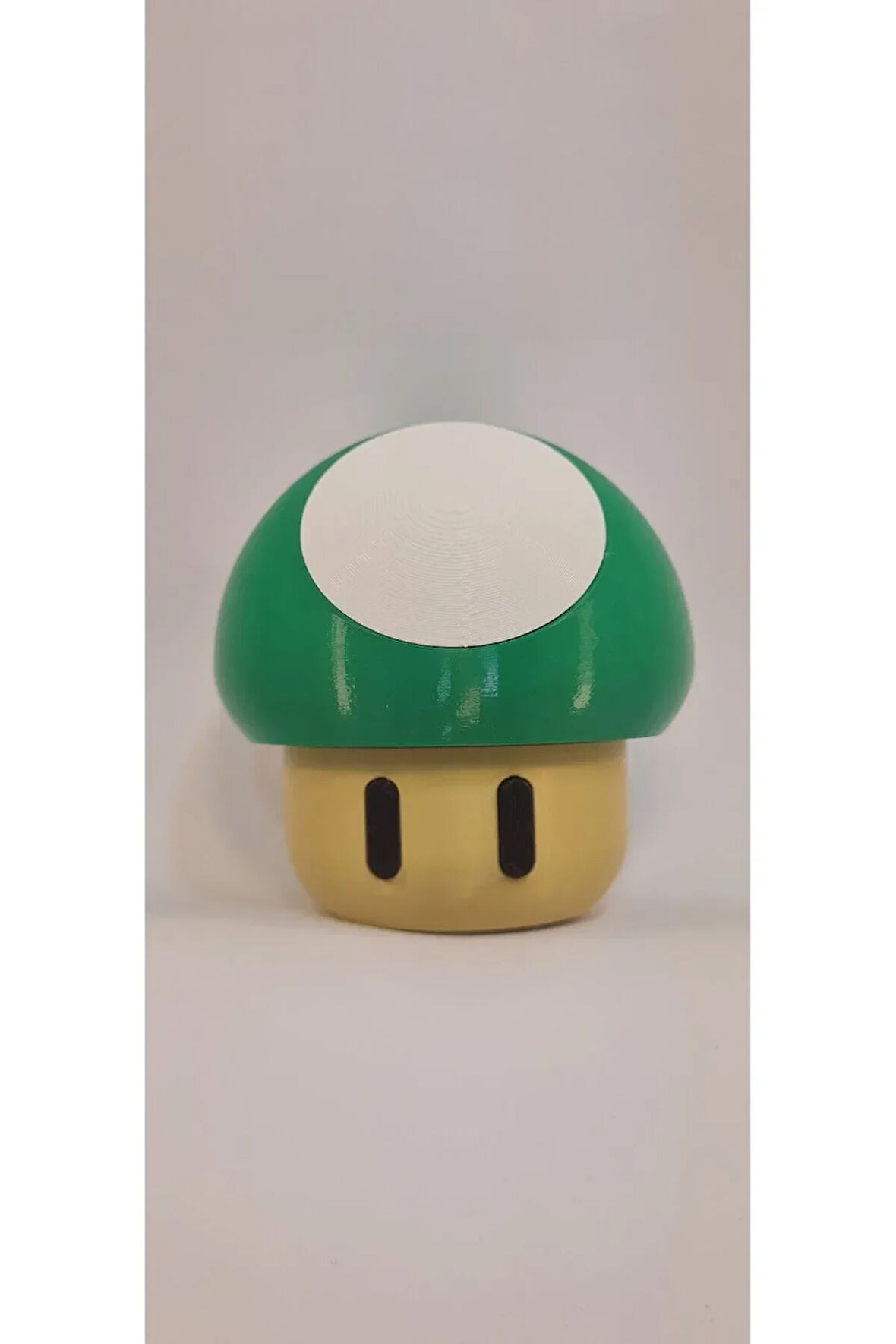 Mantar Saklama Kabı Ve Dekoratif Obje Yeşil