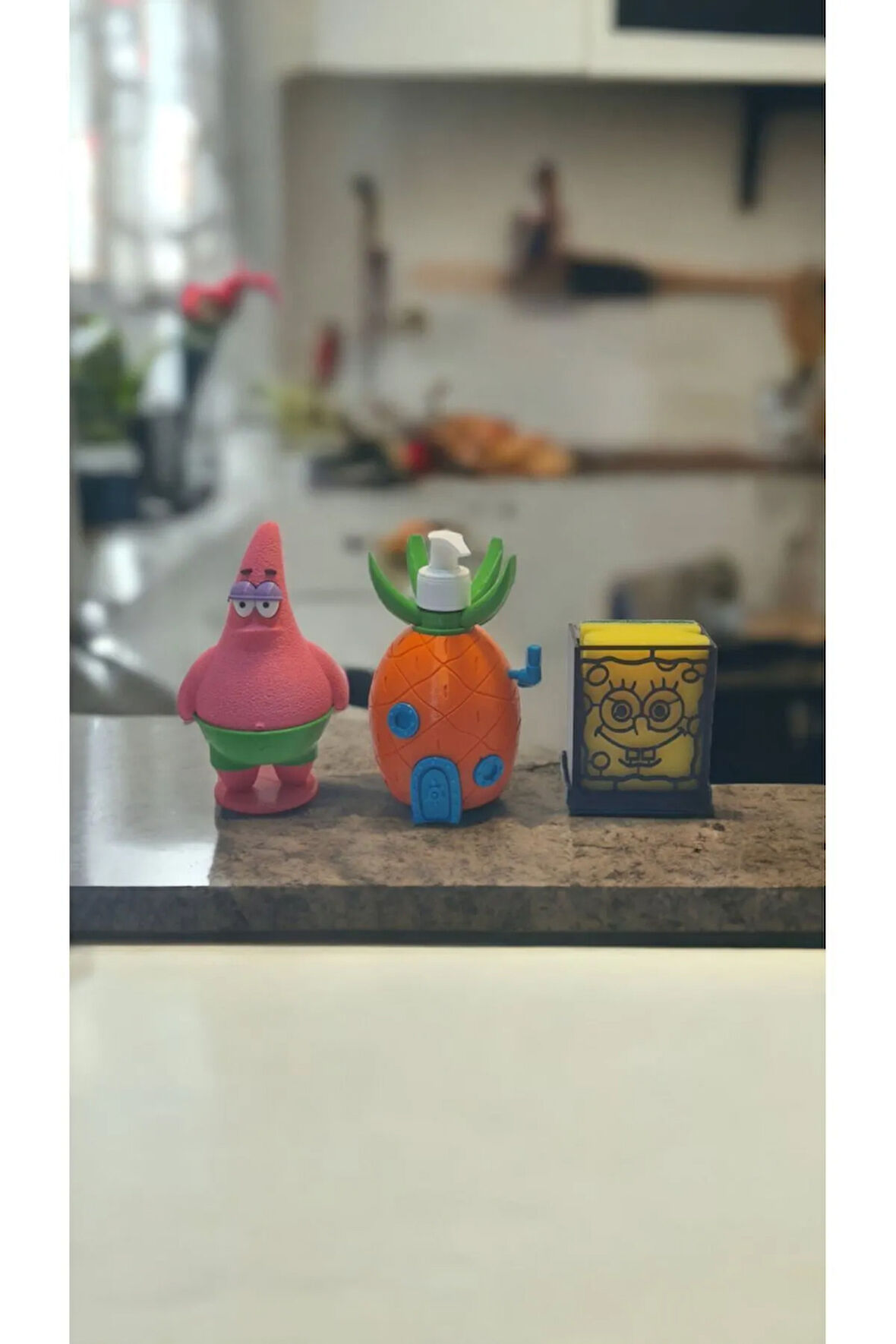 Ananas Evi Sabunluk Bulaşık Süngeri Tutacağı Ve Bulaşık Teli Tutucu