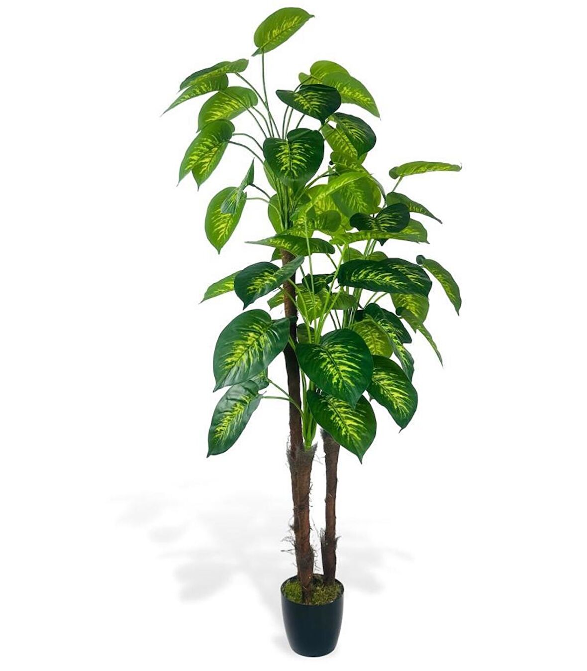 Yapay Çiçek Difenbahya Sarı Yeşil 3Katlı 160cm 54Yaprak Siyah Plastik Saksıda Yapay Bitki