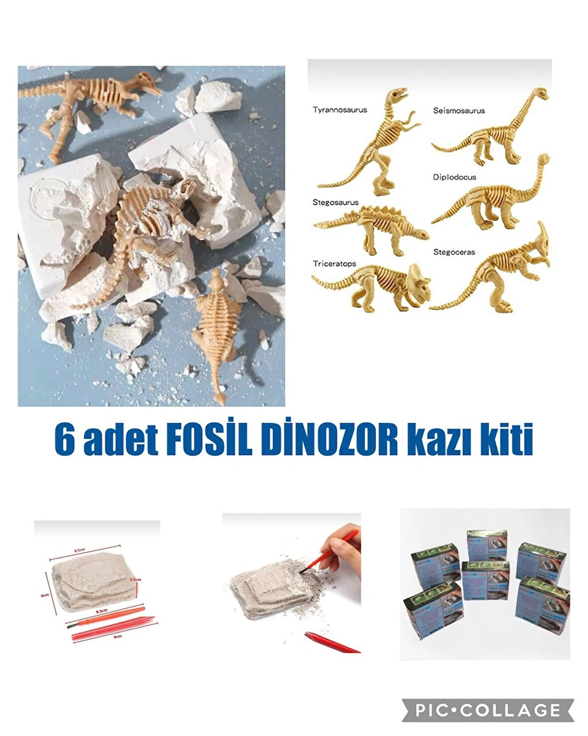 6 adet fosil iskelet dinozor arkeolojik kazı oyunu bilim faaliyeti etkinlik proje seti