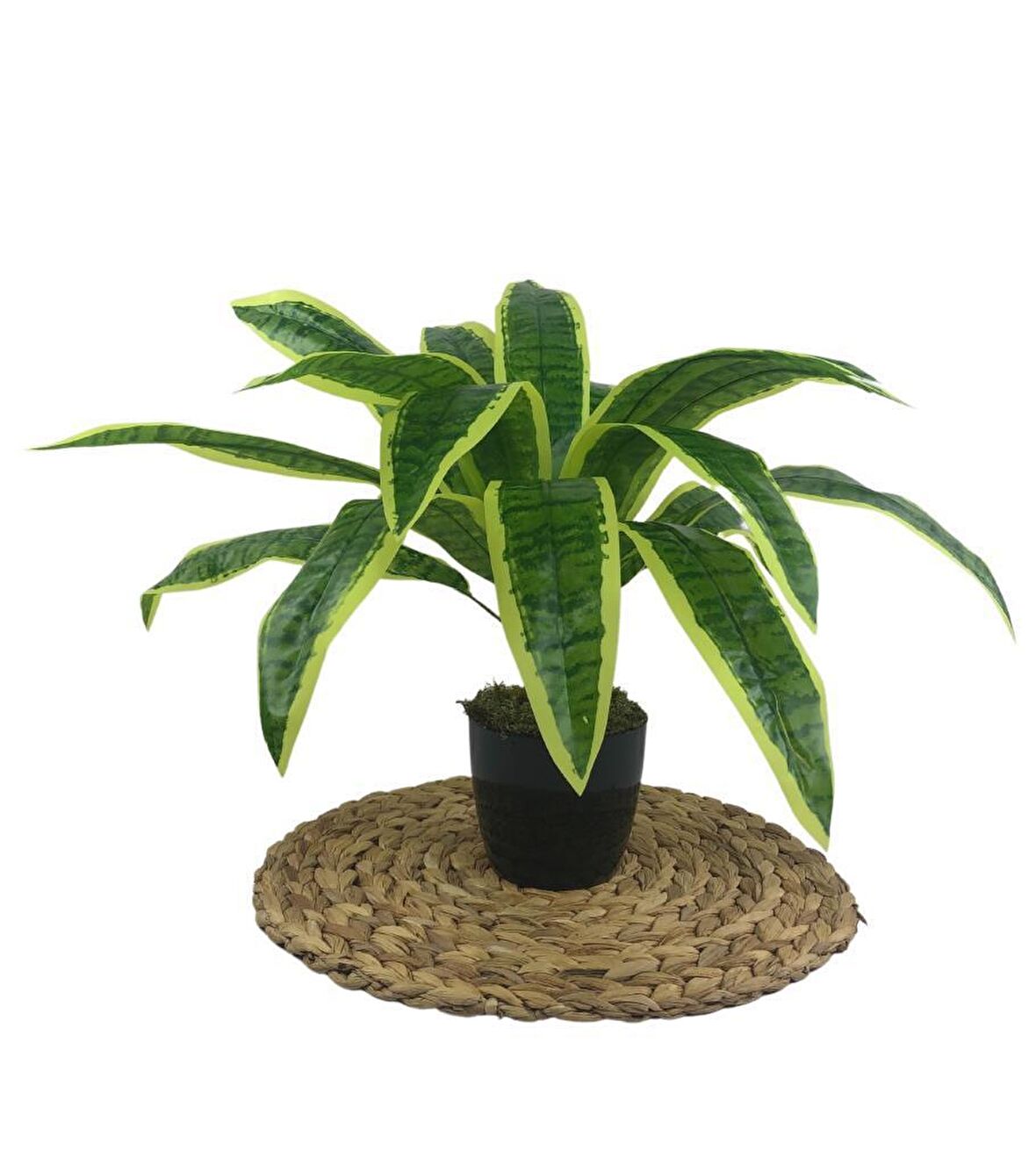 Yapay Çiçek Masengena Sansevieria 12 Dal 40*50cm Salon Çiçeği Plastik Siyah Saksılı Yapay Bitki
