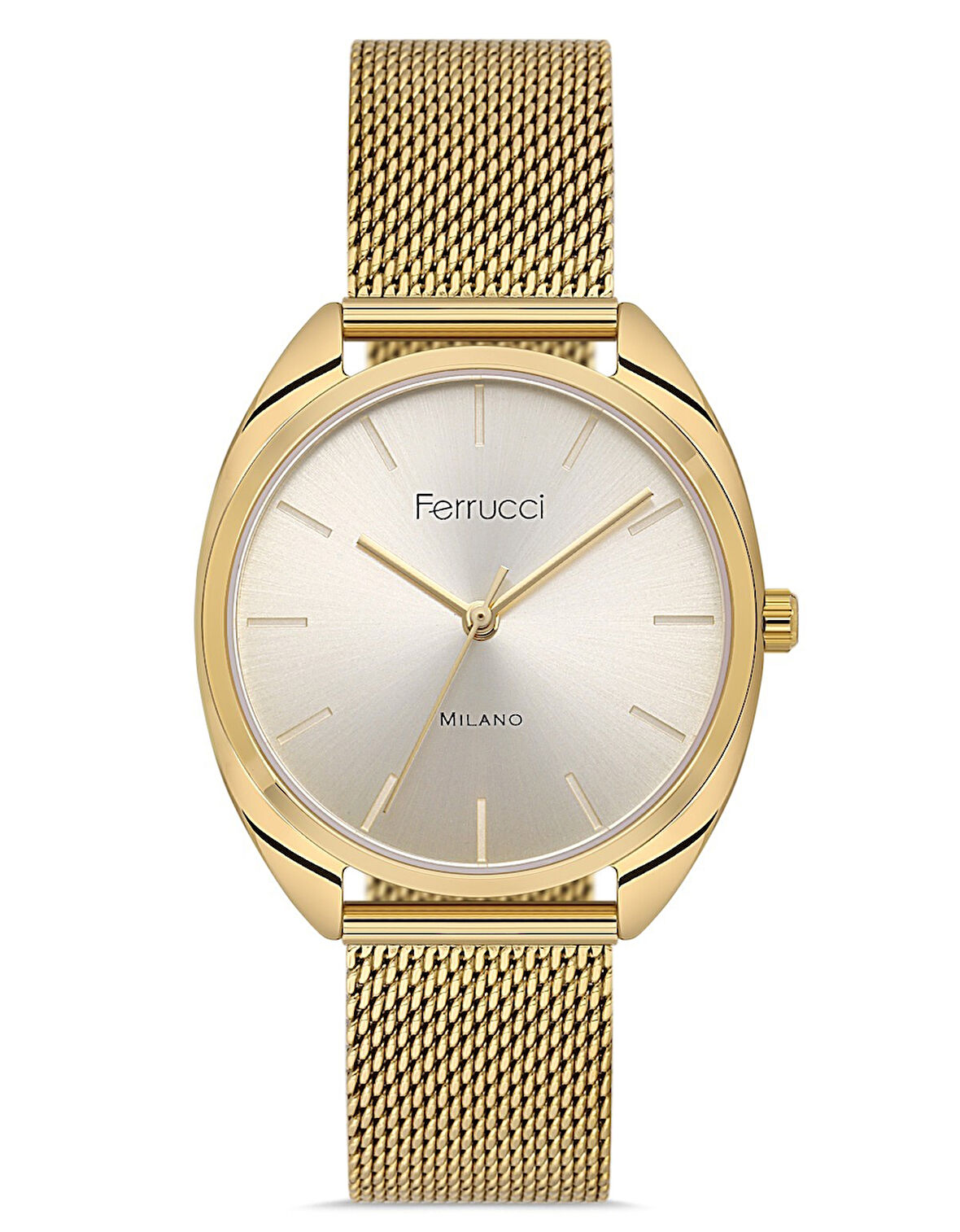 FERRUCCI KADIN KOL SAATİ FC042503438H.03640062