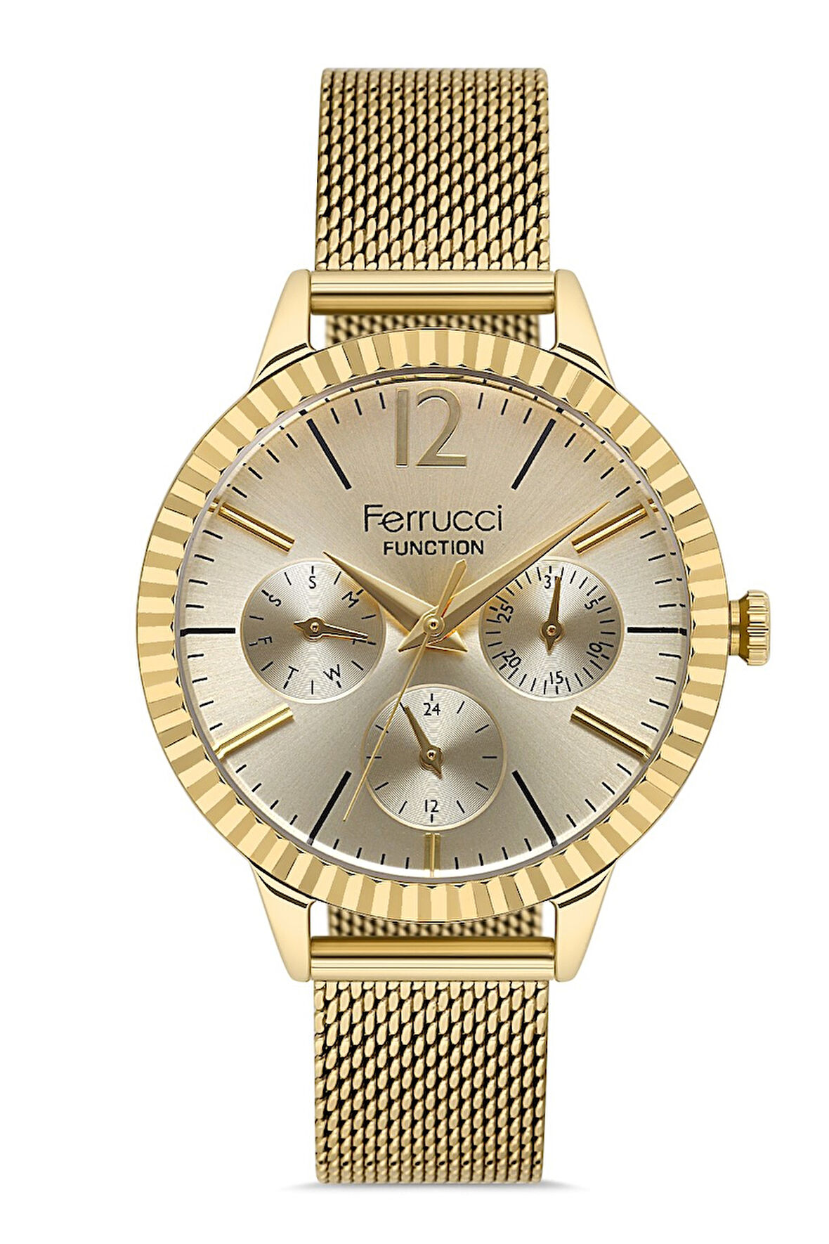 FERRUCCI KADIN KOL SAATİ FCF012503458H.0364092