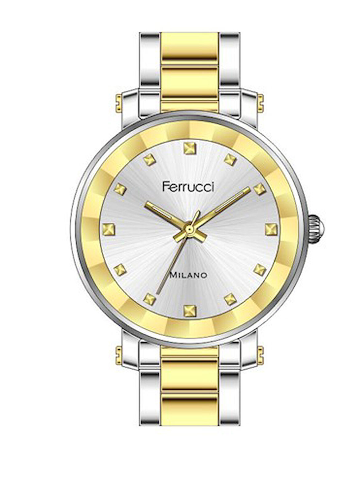 FERRUCCI KADIN KOL SAATİ FC012503460M.06640003