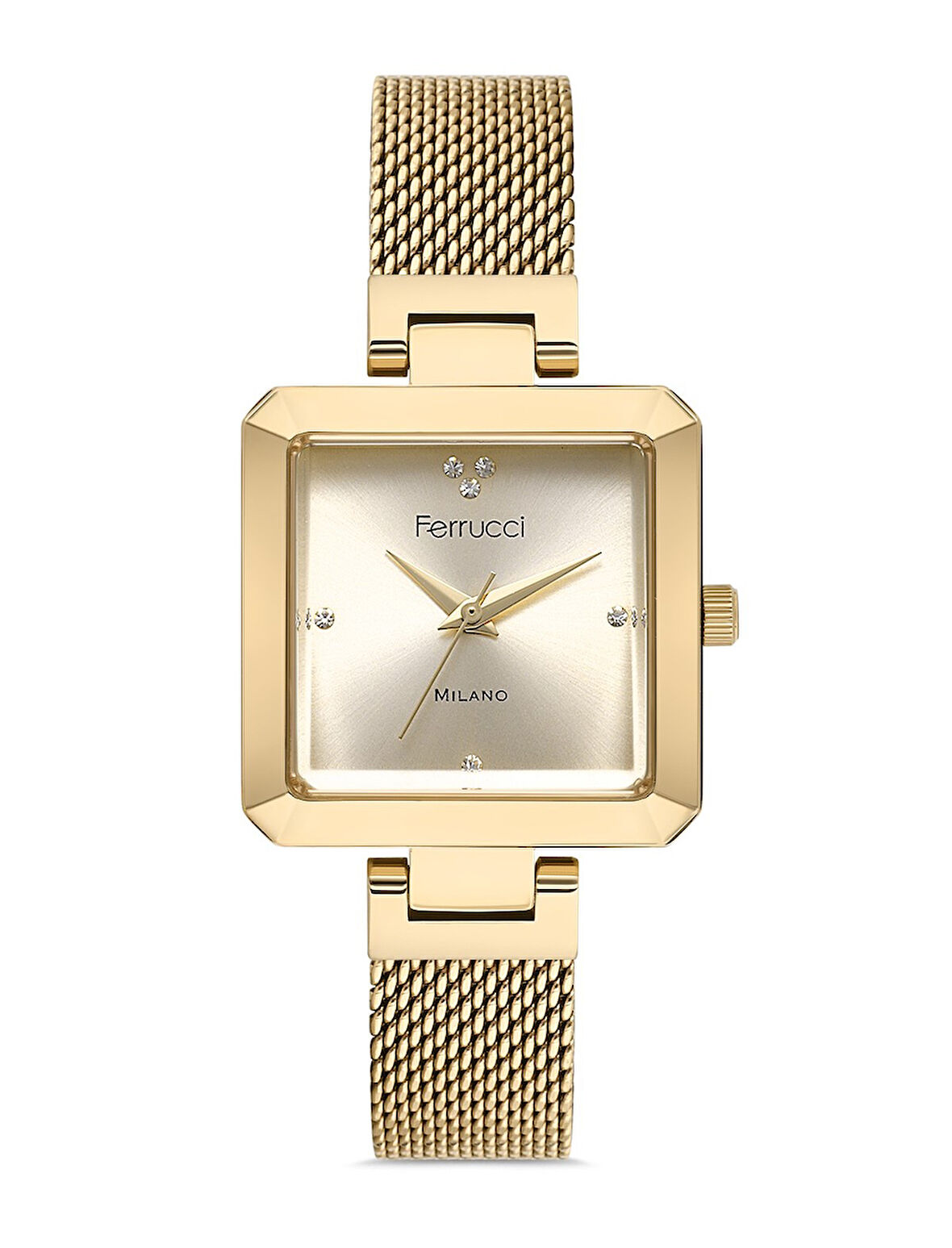 FERRUCCI KADIN KOL SAATİ FC012503467H.06640082