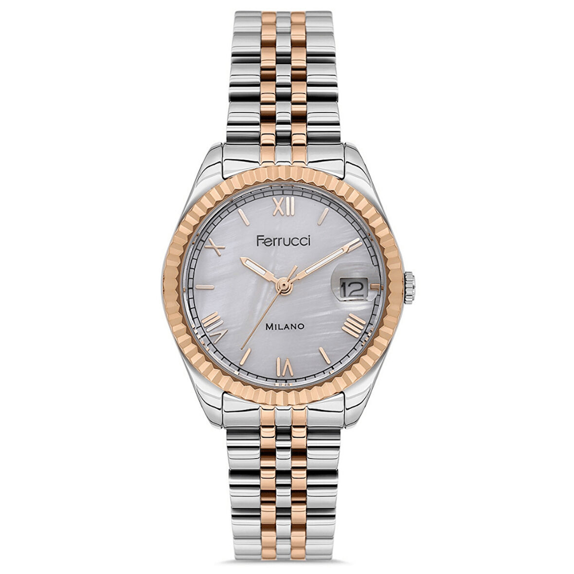 Ferrucci FER.03581M.05 Çelik Kordon Kadın Kol Saati