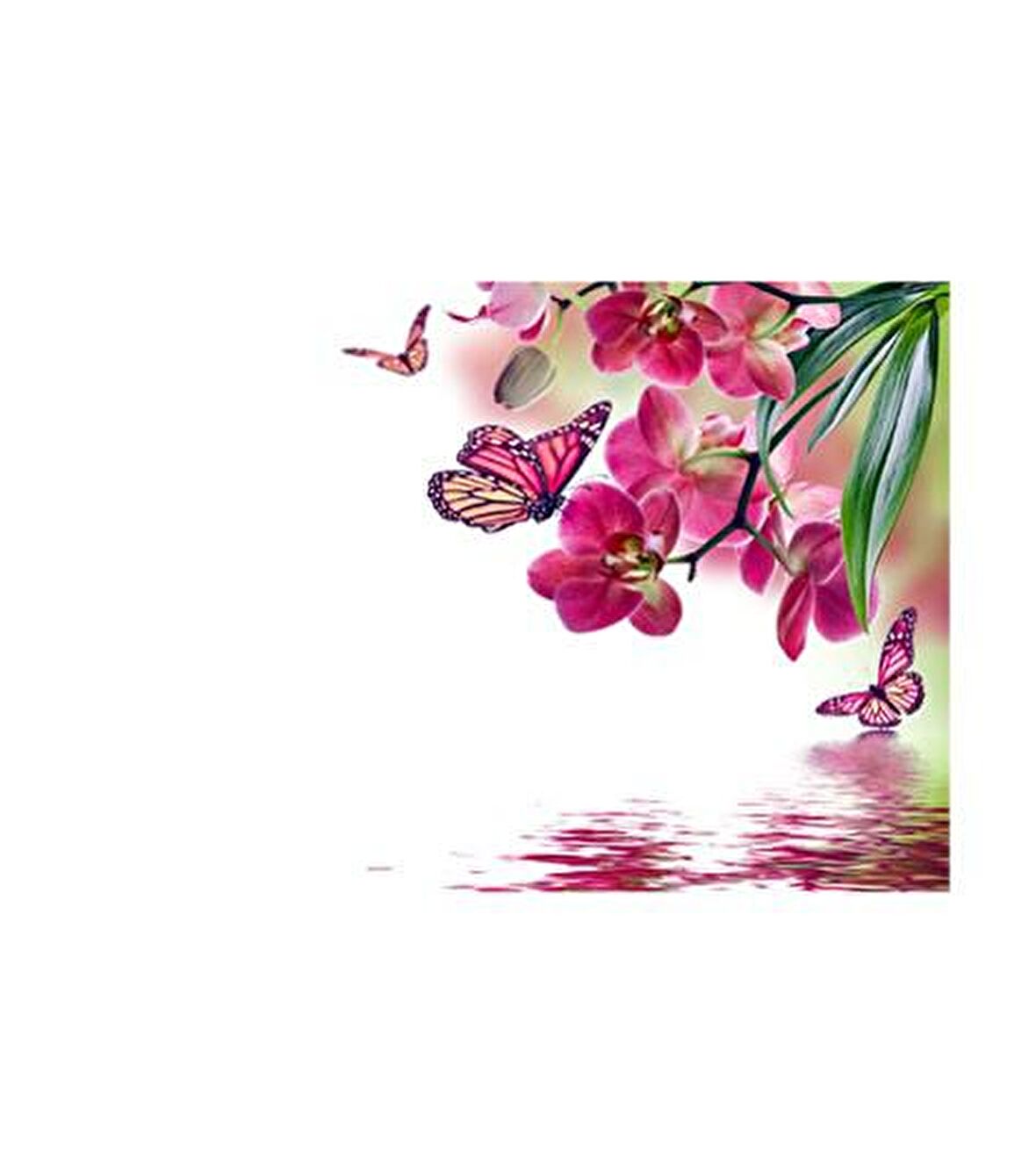 Pembe Çiçekler Notebook Sticker, Laptop sticker,, Hp Sticker, Asus Sticker, 15.6 inç Sticker