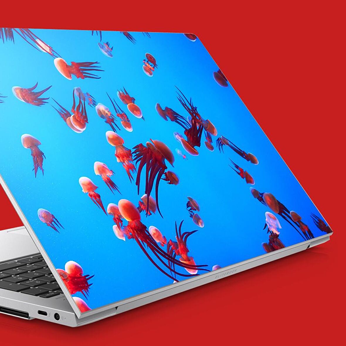 Kırmızı Deniz Anaları Notebook Sticker, Laptop sticker,, Hp Sticker, Asus Sticker, 15.6 inç Sticker