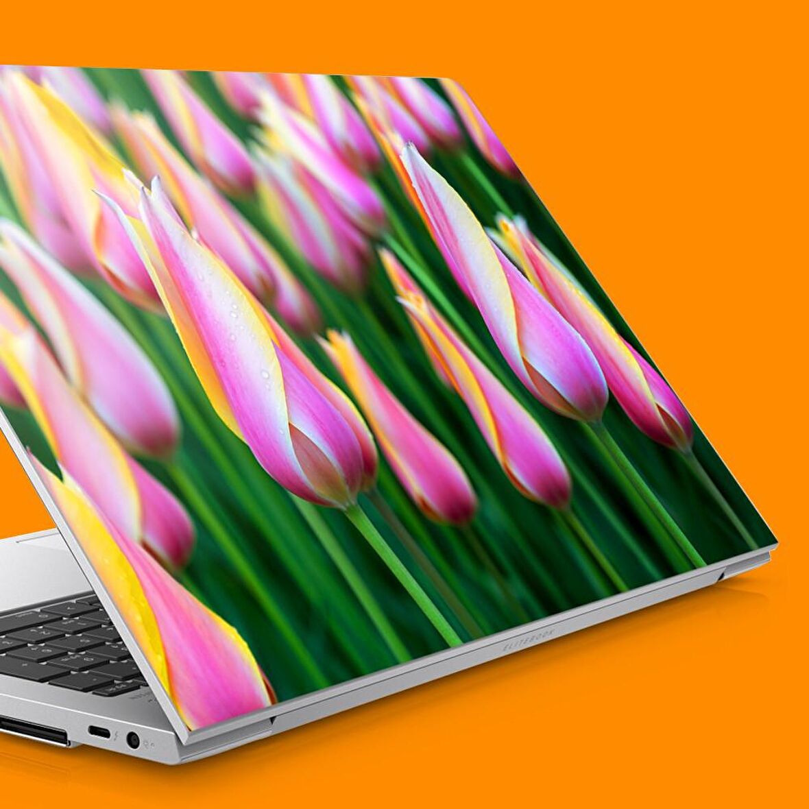 Pembe Sarı Laleler Notebook Sticker, Laptop sticker,, Hp Sticker, Asus Sticker, 15.6 inç Sticker