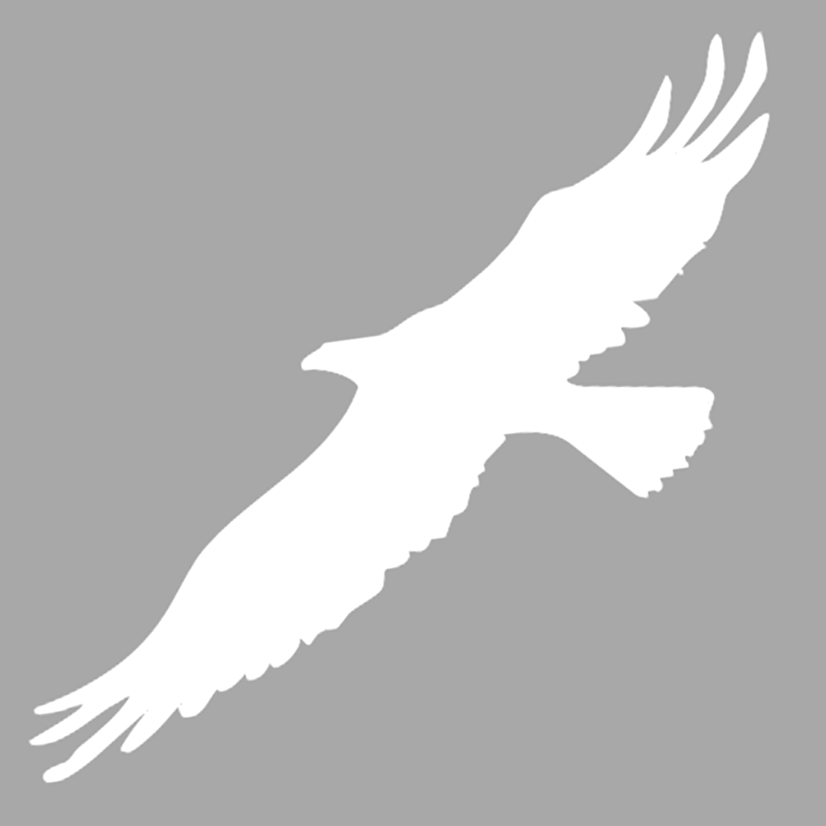 İkon Kartal Stencil Boyama şablonu 30x30 cm, Duvar Stencil, Fayans Stencil, Mobilya Stencil