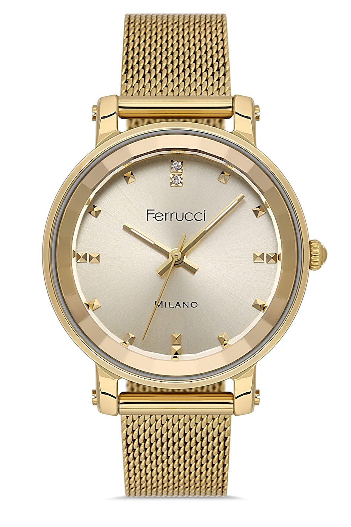 FERRUCCI KADIN KOL SAATİ FC042503459H.05640072