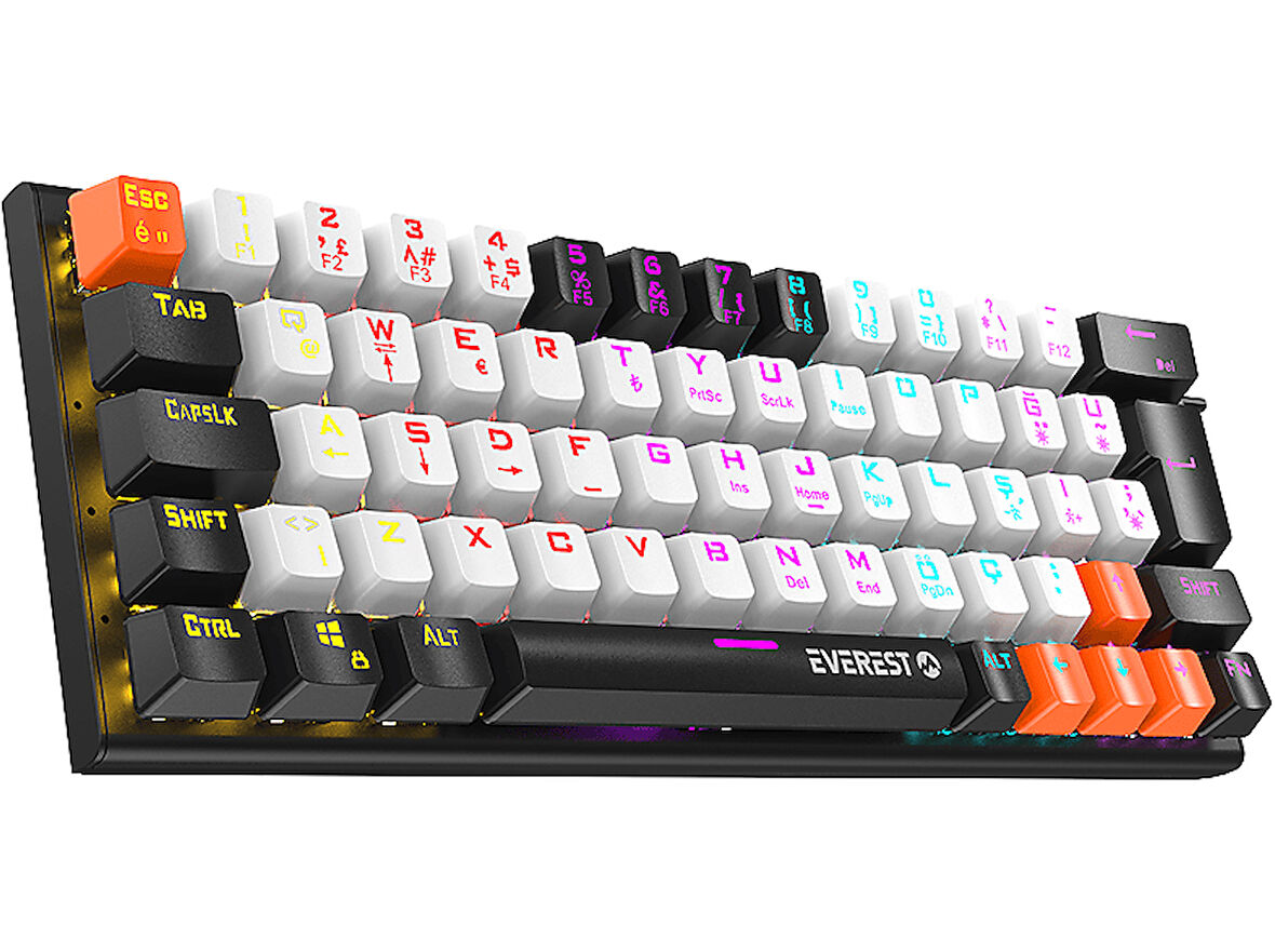 EVEREST Parley Rainbow Aydınlatmalı Türkçe Q Red Switch Mekanik  Klavyesi Siyah Beyaz