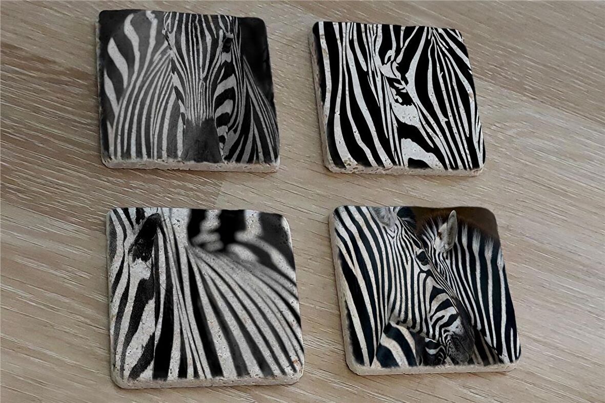 Zebra Doğal Taş Bardak Altlığı 4'lü set - Natural Stone Coasters
