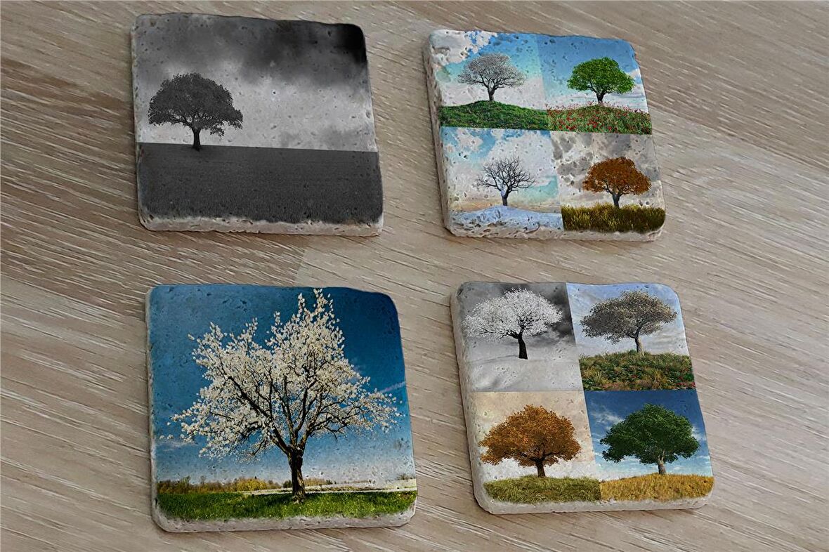 Dört Mevsim Ağaçlar Doğal Taş Bardak Altlığı 4'lü set - Natural Stone Coasters