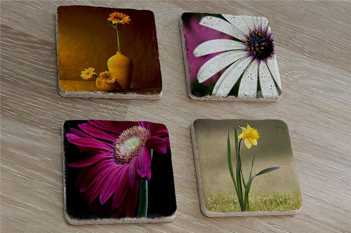 Papatya ve Çiçekler Doğal Taş Bardak Altlığı 4'lü set - Natural Stone Coasters