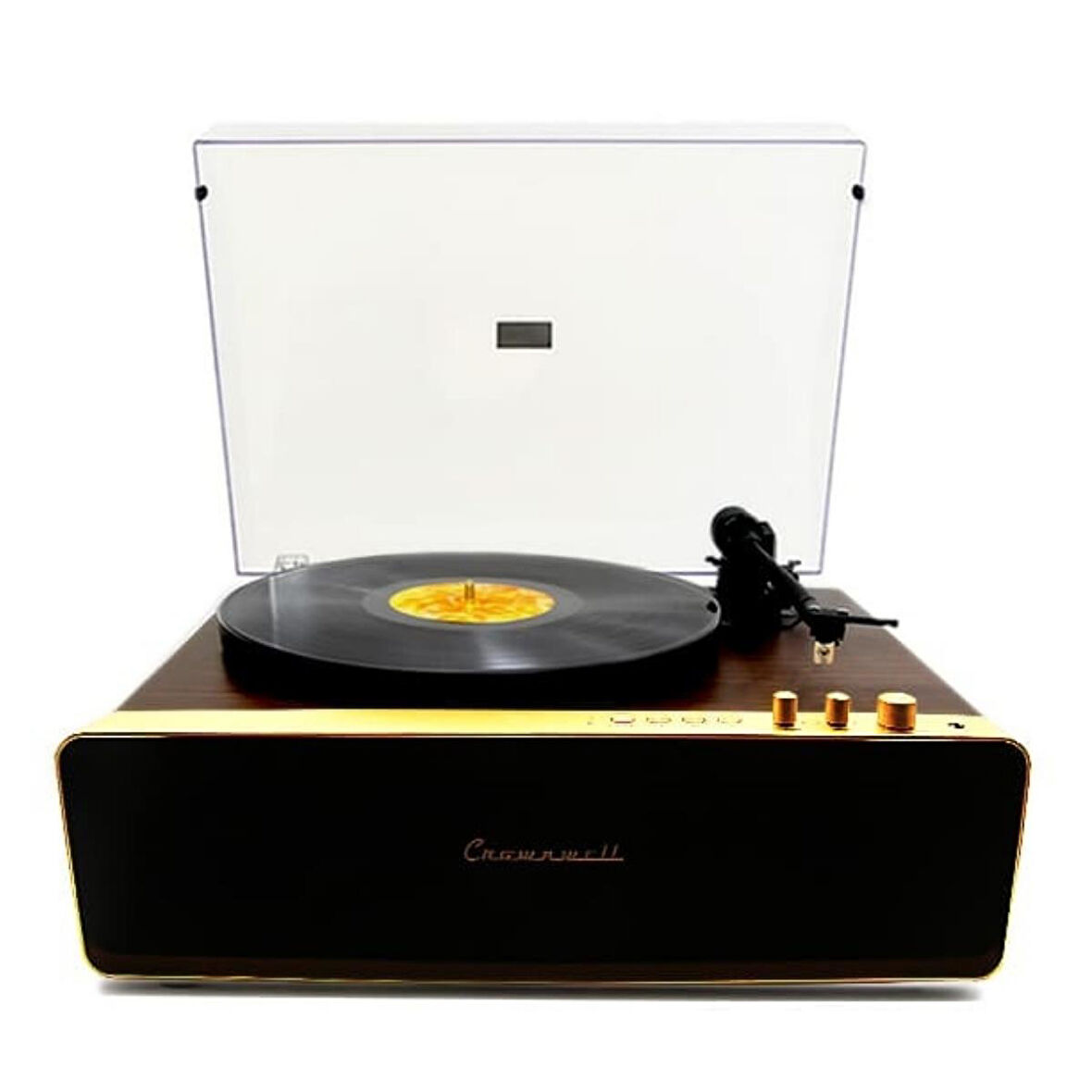 Pikap Vegas Plus Gold Led Panel Ahşap Plakçalar CW016