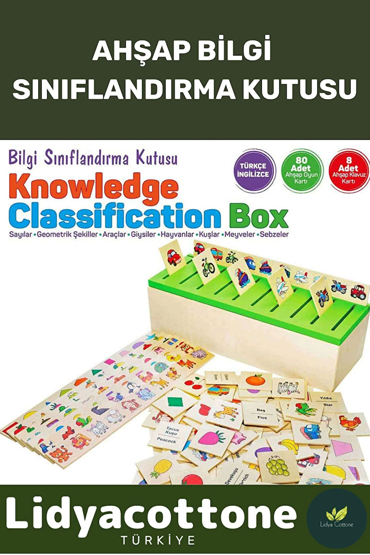 Premium Zeka Geliştirici Kişisel Gelişim Çocuk Ahşap Bilgi Sınıflandırma Kutusu Eğitici Öğretici