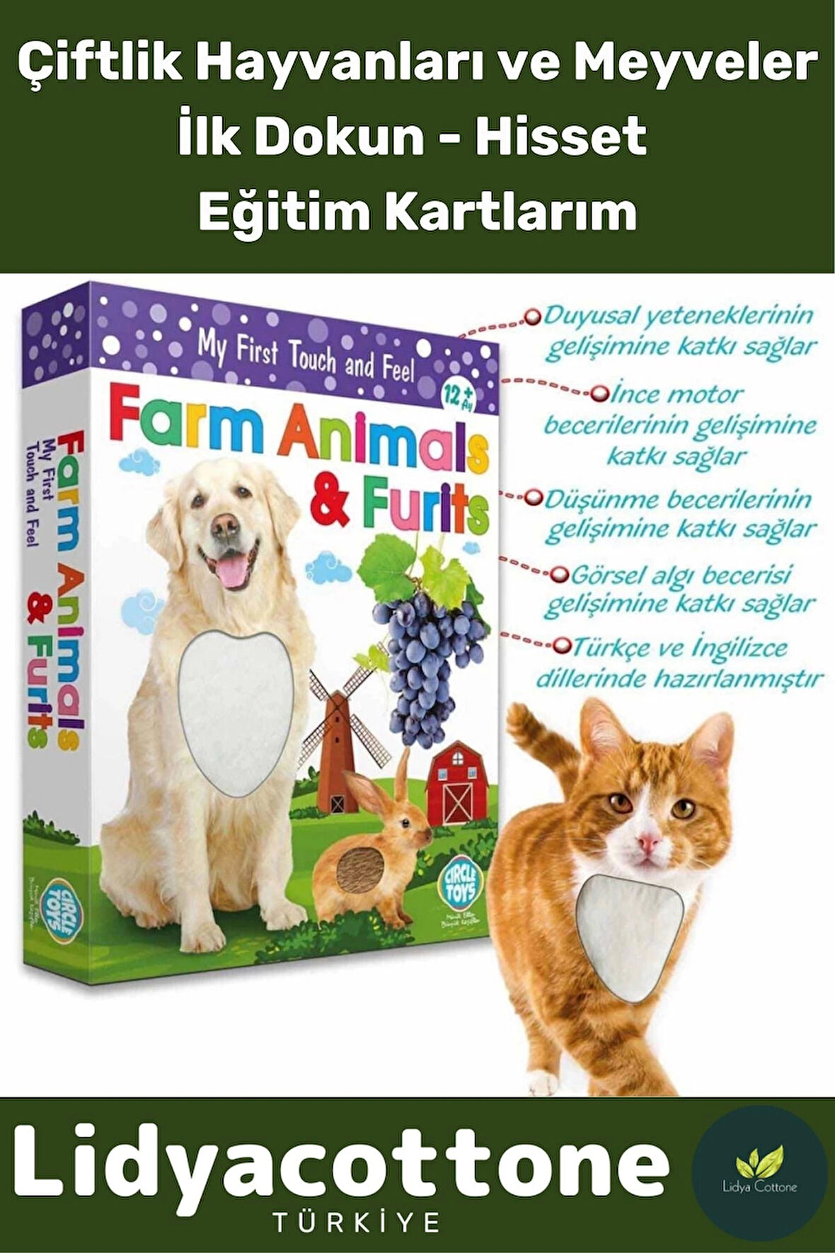 Premium I?nce Motor Gelişimi Görsel Algı Öğrenme Dokun Hisset Çiftlik Hayvanları Ve Meyveler