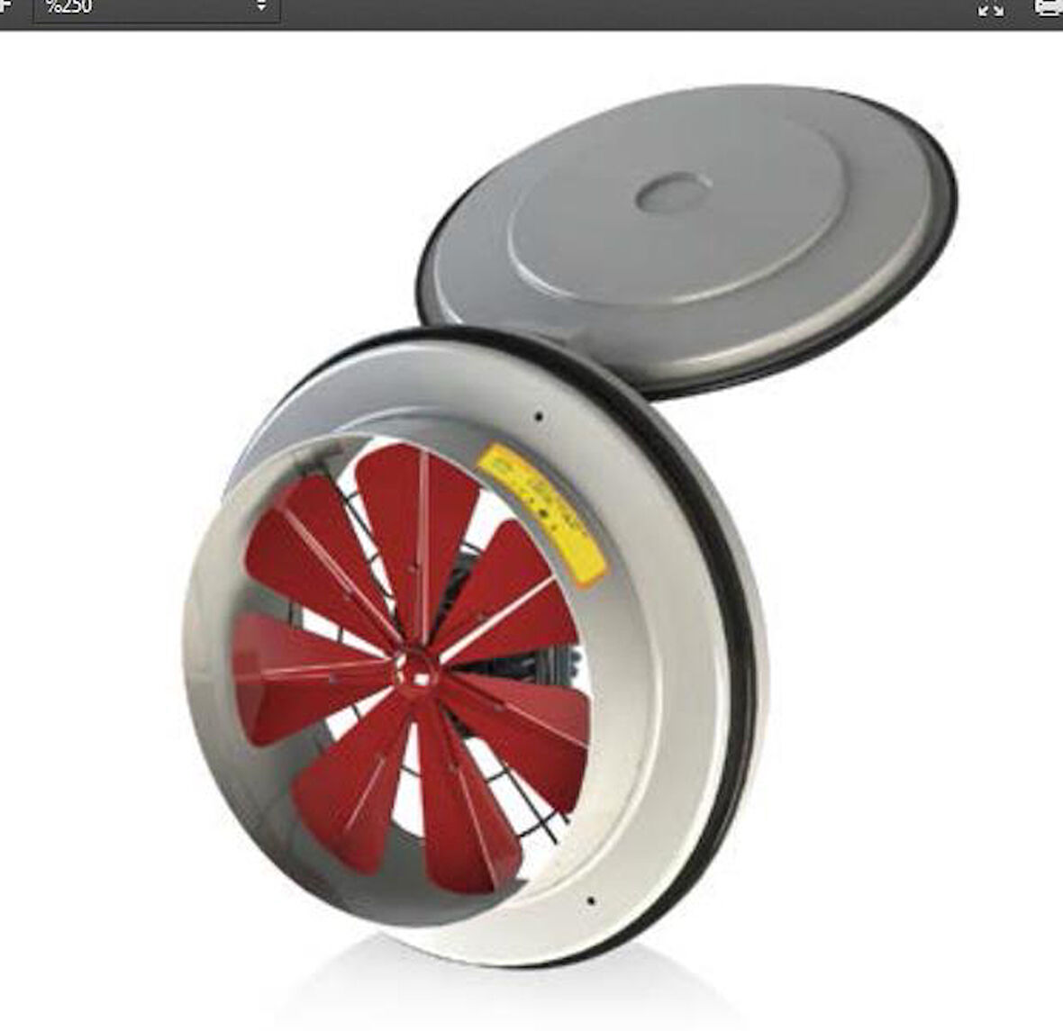 Fanex Kapaklı ve Flanşlı Aksiyal Aspiratör Havalandırma Fan 250mm