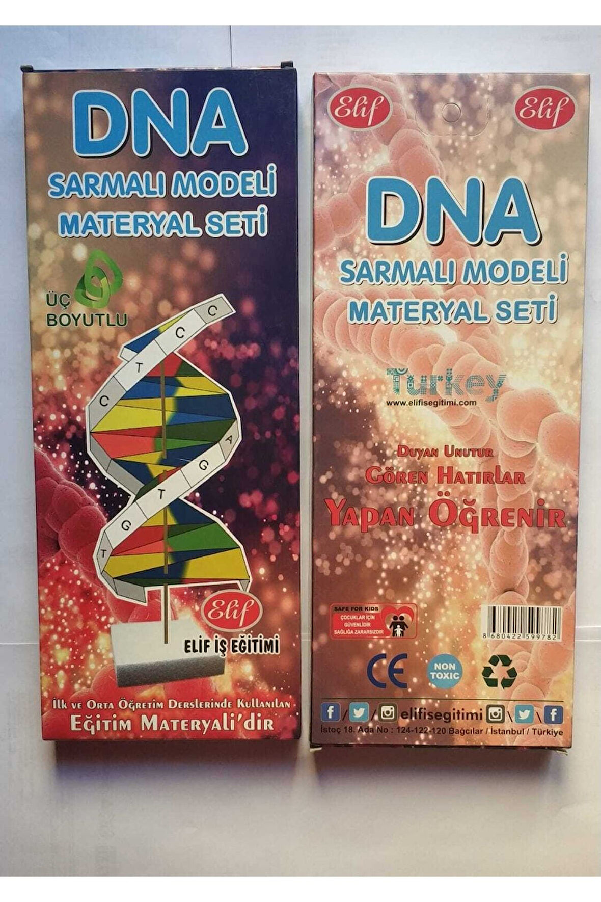 Dna Sarmal Modeli Materyal Seti