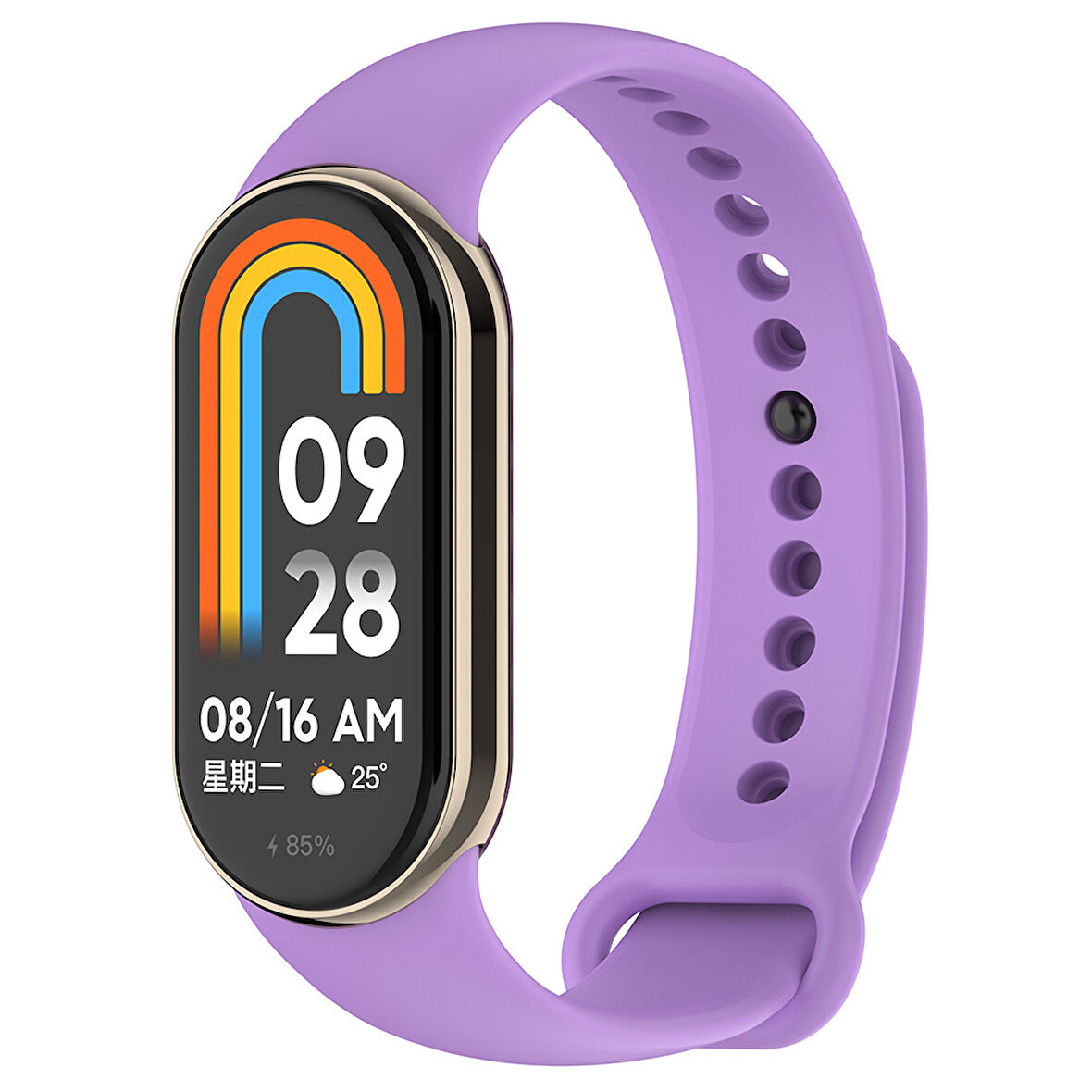 Xiaomi Mi Band 8 Serisi Klasik Kordon Silikon Strap Kayış-Lila