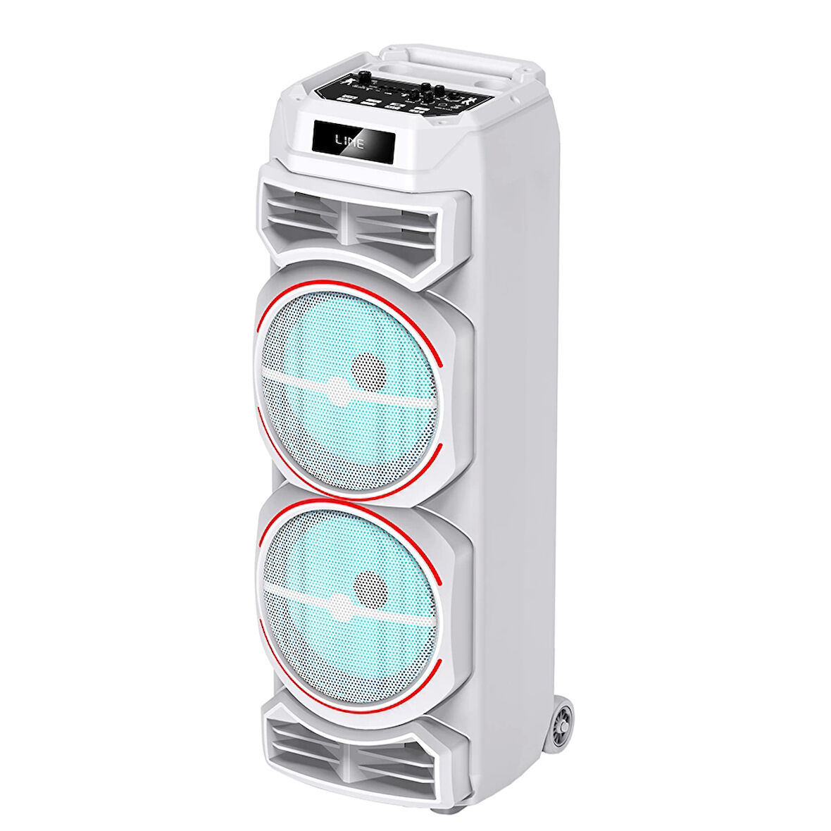Zore GD-2828 Dijital LED Göstergeli Mikrofonlu RGB TWS Çift 8 inç Stereo Bass Kablosuz Karaoke Hoparlör