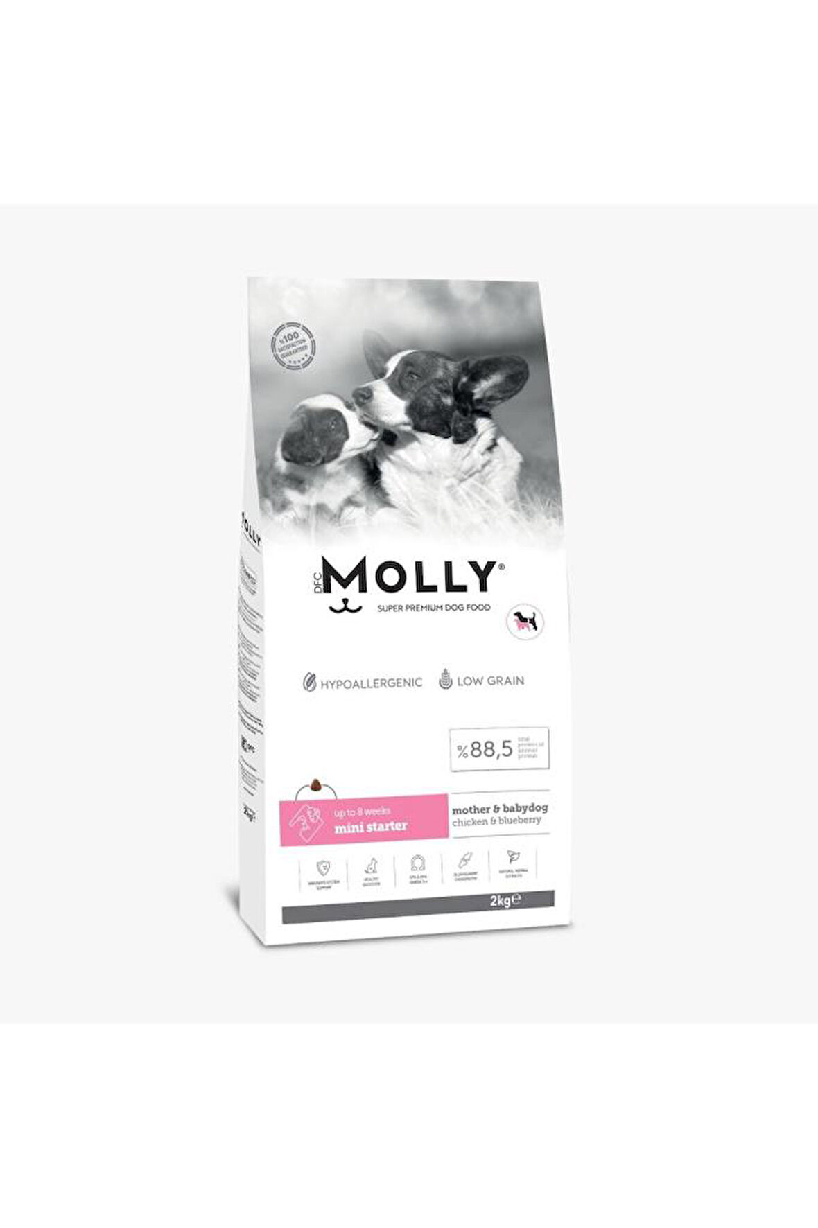 Molly Tavuklu ve Yabanmersinli Mini Starter Yavru Köpek Maması 2 kg