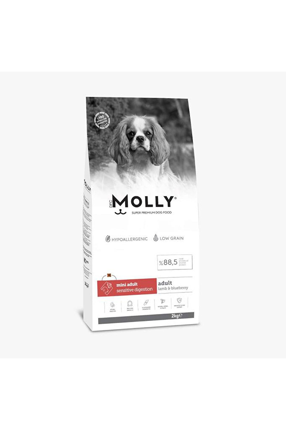 Molly Kuzulu ve Yabanmersinli Mini Irk Yetişkin Köpek Maması 2 kg