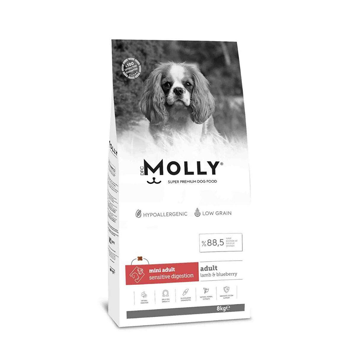 Molly Hypoallergenic Kuzu Etli Küçük Irk Yetişkin Köpek Kuru Maması 8 kg 