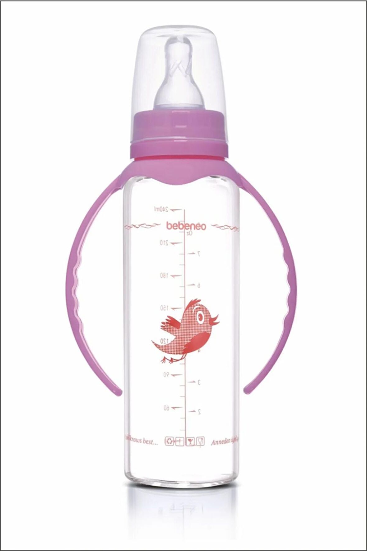 Isıya Dayanıklı Cam Biberon 240 Ml