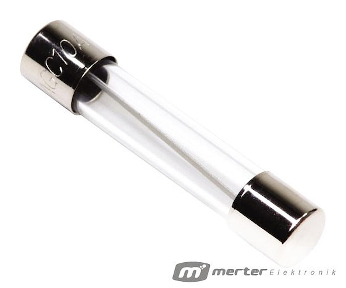 CAM SİGORTA BÜYÜK 8 AMPER (100 ADET)