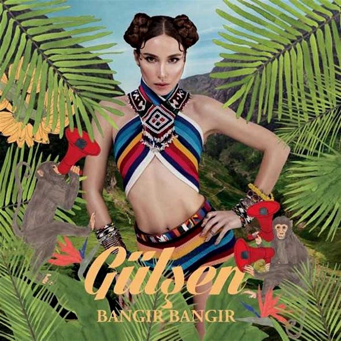 Gülşen - Bangır Bangır   (Plak)  