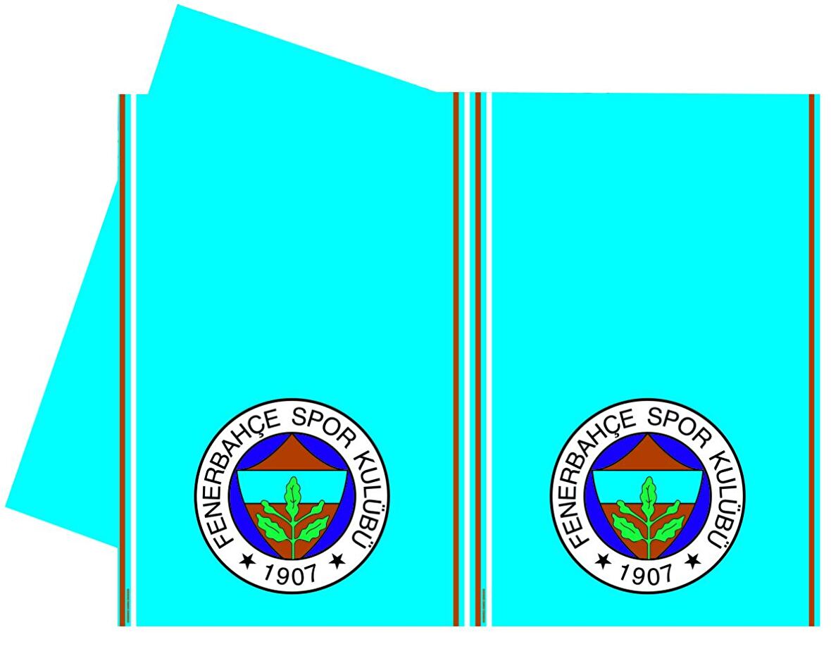 FENERBAHÇE MASA ÖRTÜSÜ 120X180 (PLASTİK)