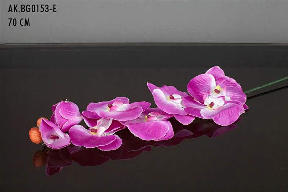 Vitale Dal Orkide Eflatun AK.BG0153-E