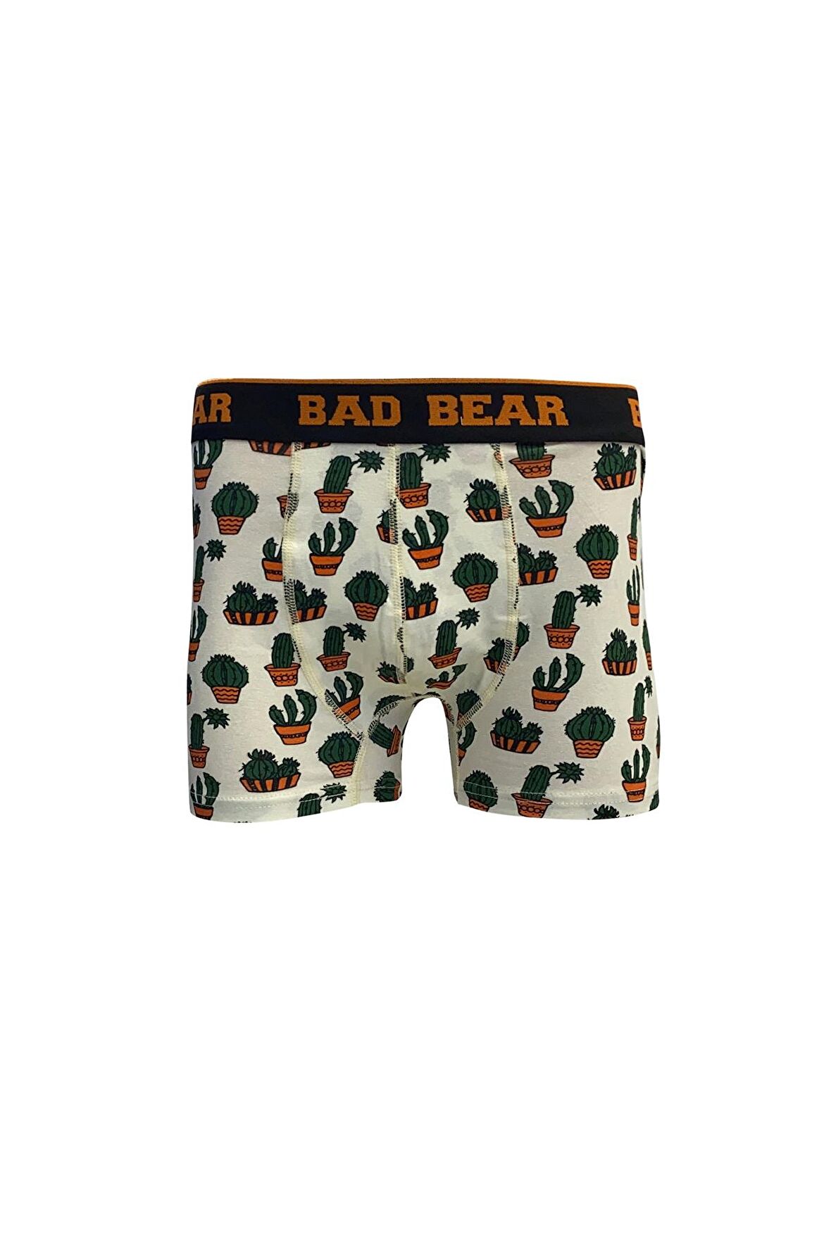 Cactus Off-White Beyaz Kaktüs Desenli Erkek Boxer