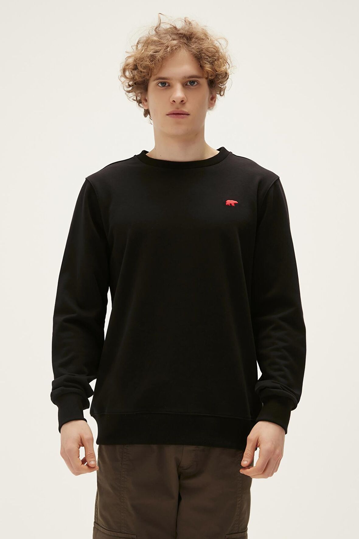 Bad Bear Bisiklet Yaka Siyah Erkek Sweatshırt 22.02.12.004 ROUND CREWNECK