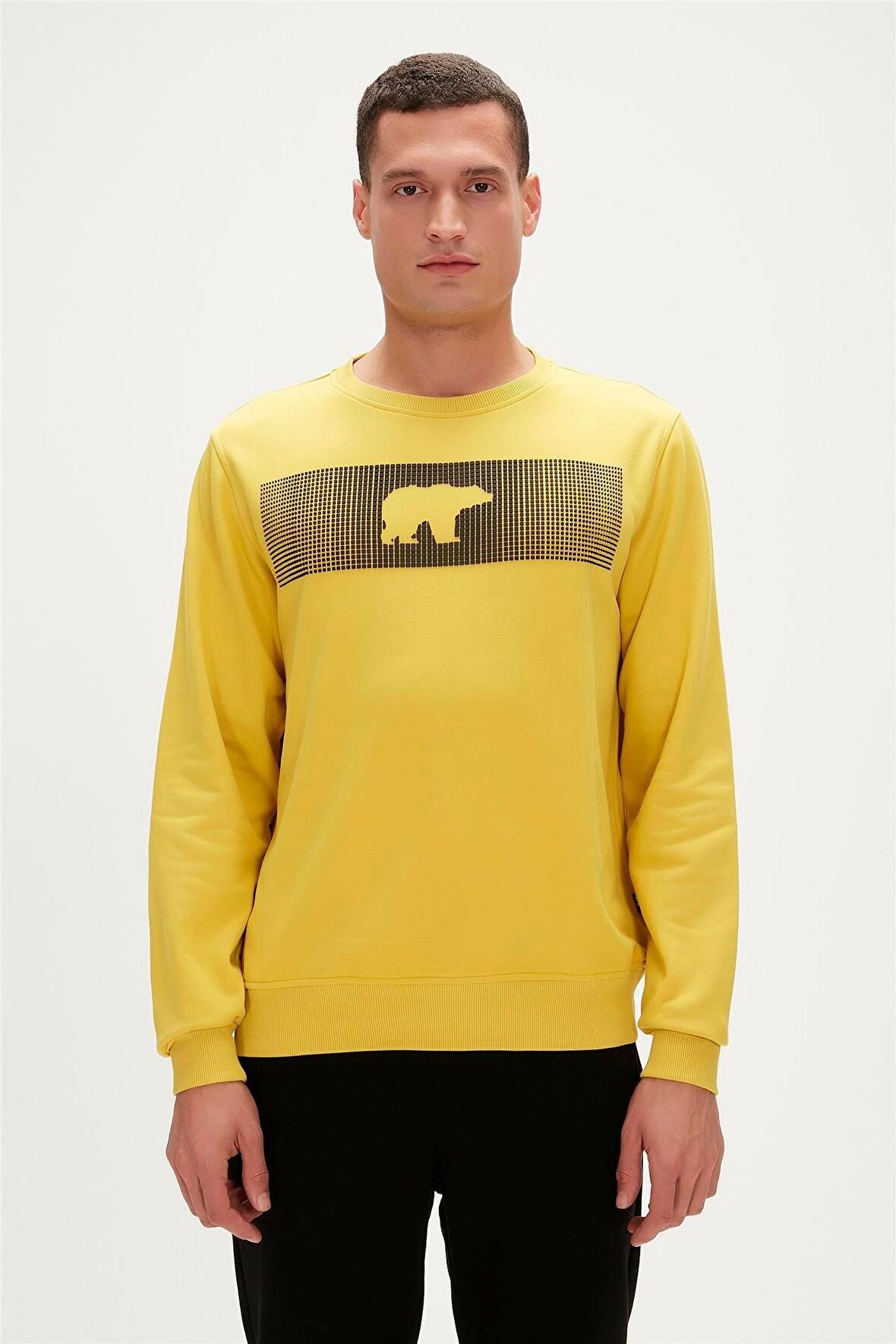 Fancy Crewneck Cider Sarı 3D Baskılı Erkek Sweatshirt