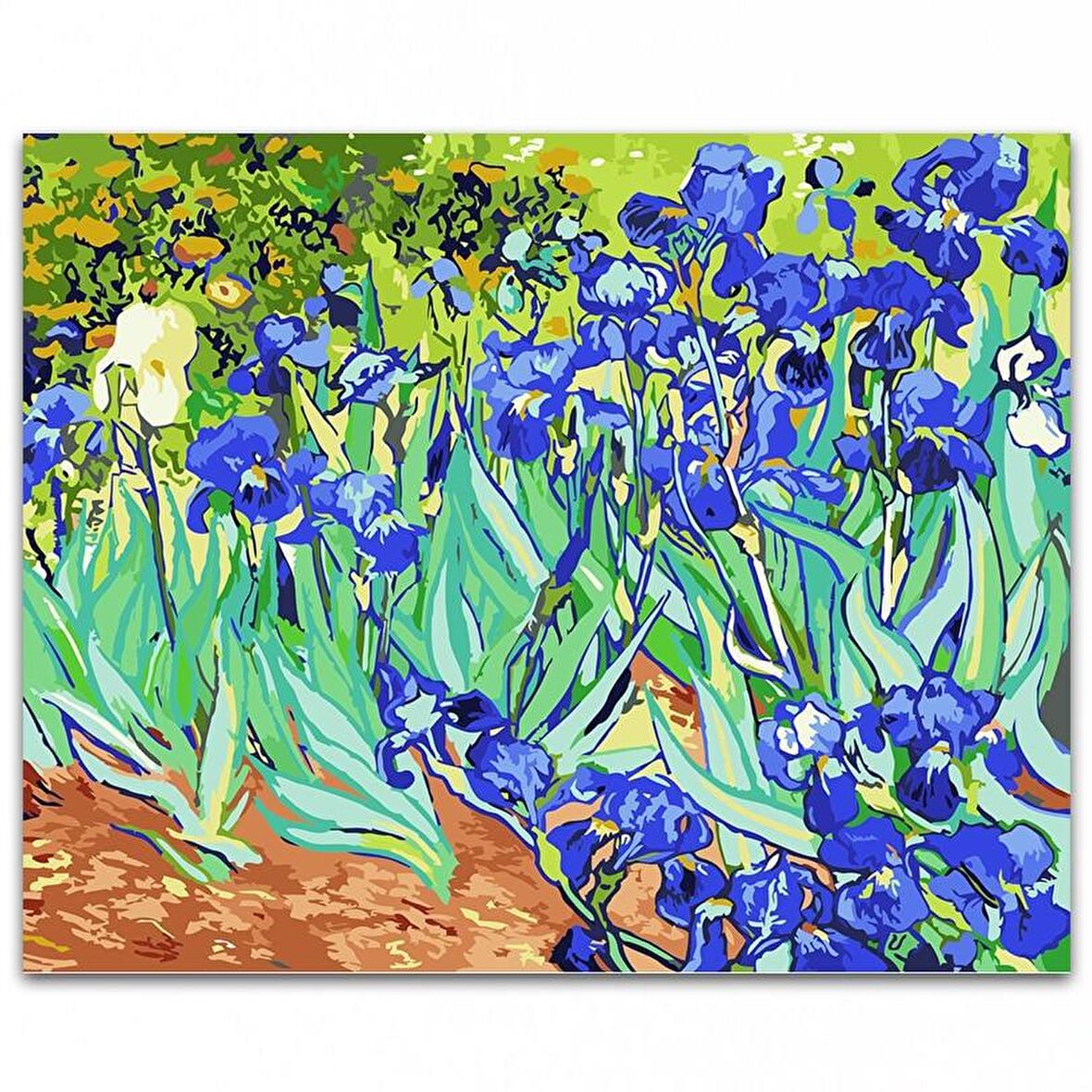 MOR ÇİÇEKLER NUMARALI TUVAL 40X50CM