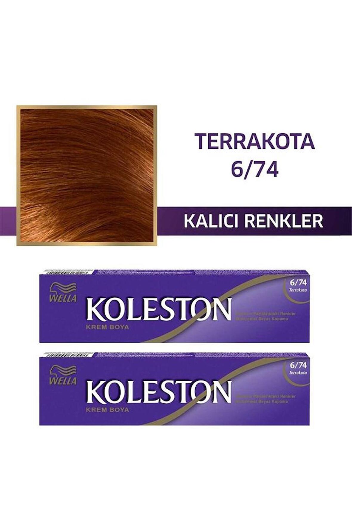 Koleston Single Tüp Boya 6/74 Terrakota x2 Paket