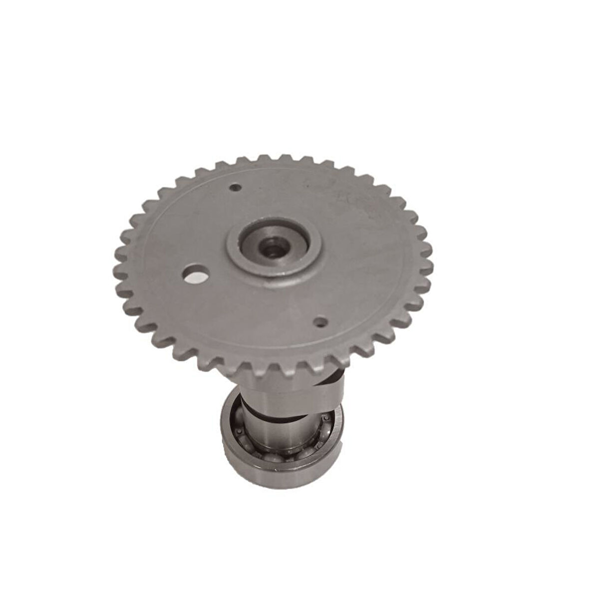 EKSANTRİK MİLİ ATV LONCIN 200