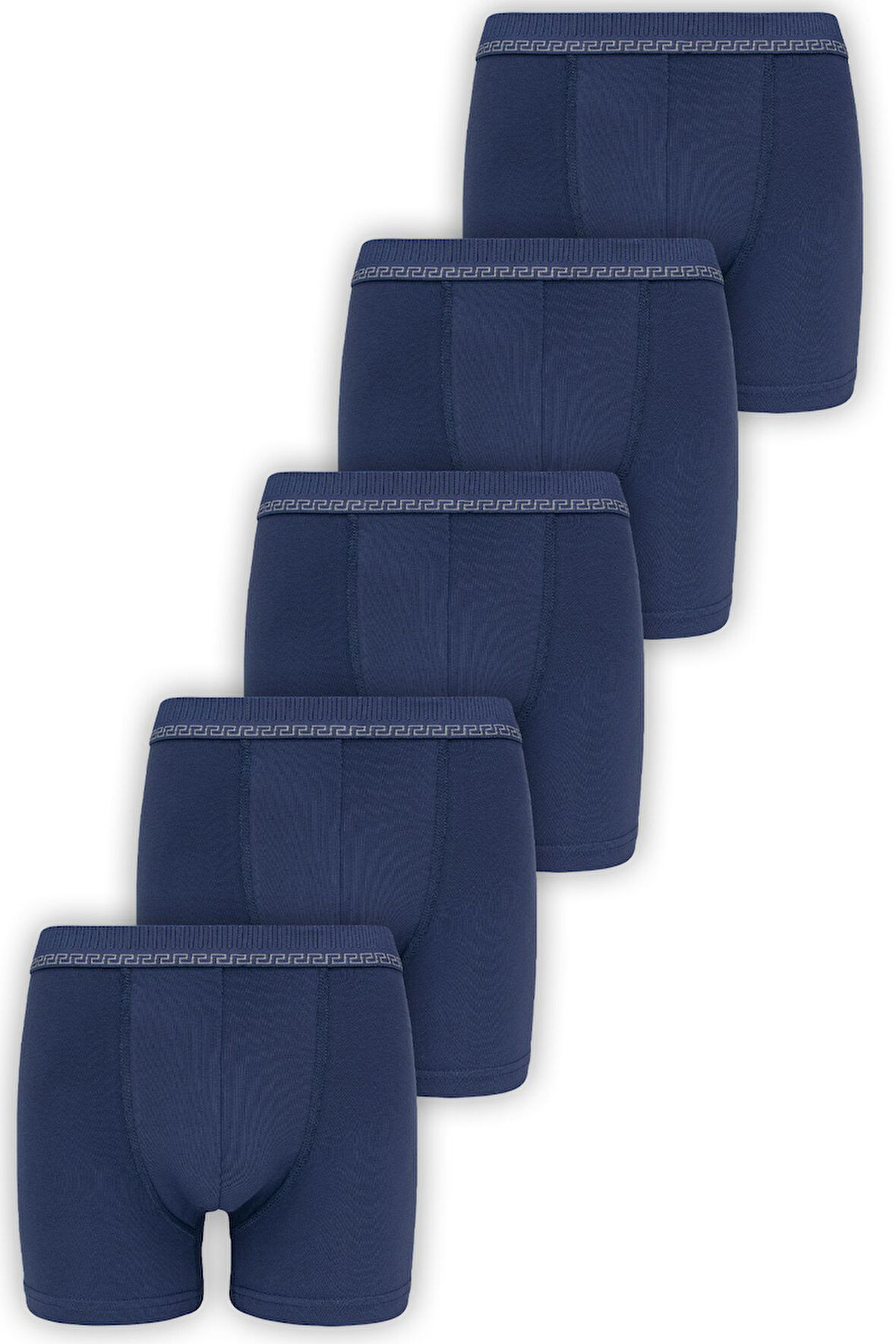 Biyo Xtreme Erkek Boxer 5'li Paket Pamuklu 3104 5'li Bordo