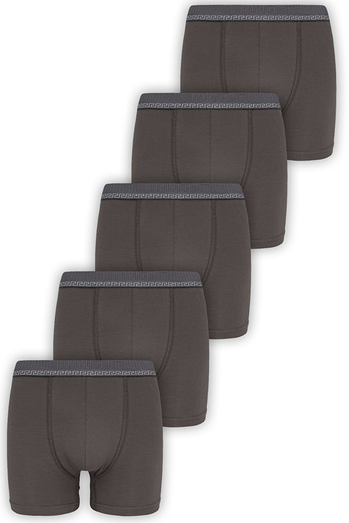 Biyo Xtreme Erkek Boxer 5'li Paket Pamuklu 3104 5'li Bordo