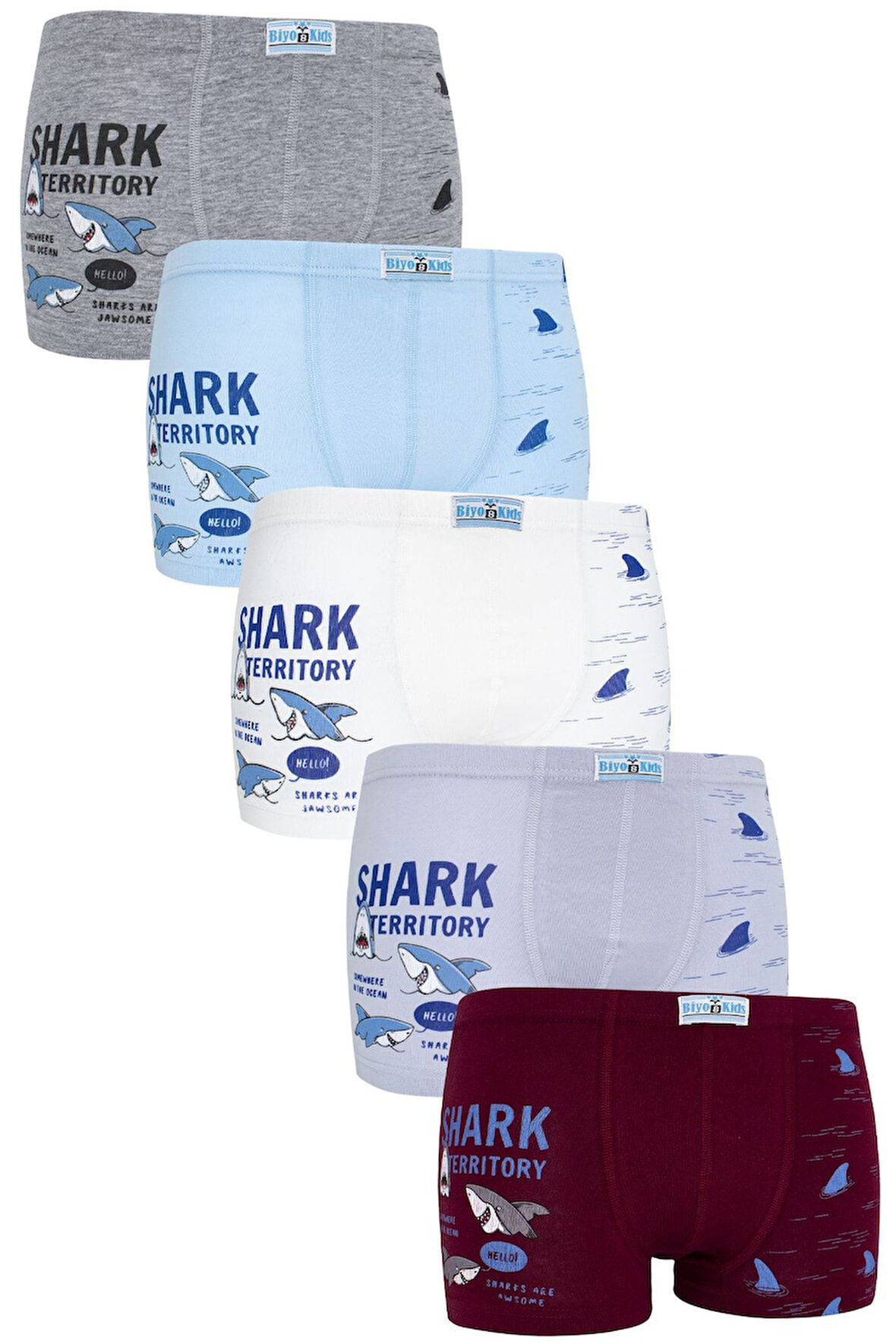 Erkek Çocuk Boxer 5 li Paket Karışık Renk Baskılı Boxer