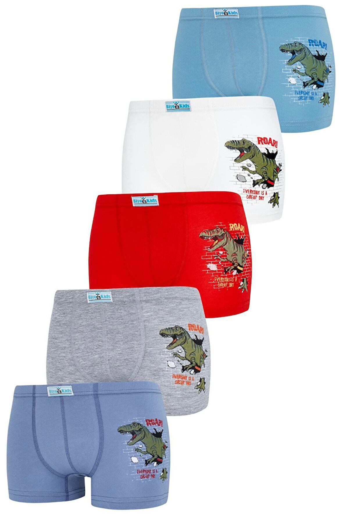 Erkek Çocuk Boxer 5 Li Paket Karışık Renk Baskılı Boxer Byo2563