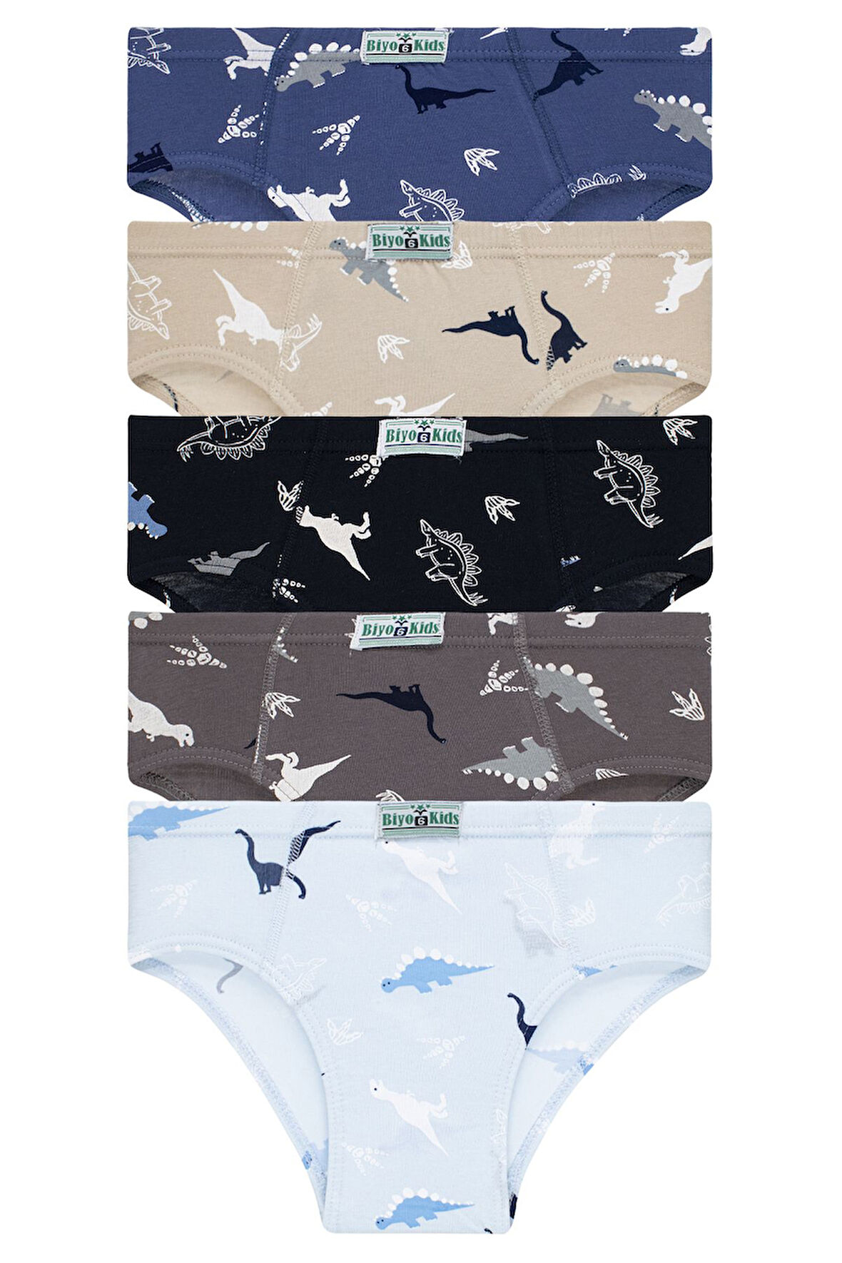 Erkek Çocuk 5'li Paket Renkli Slip Külot