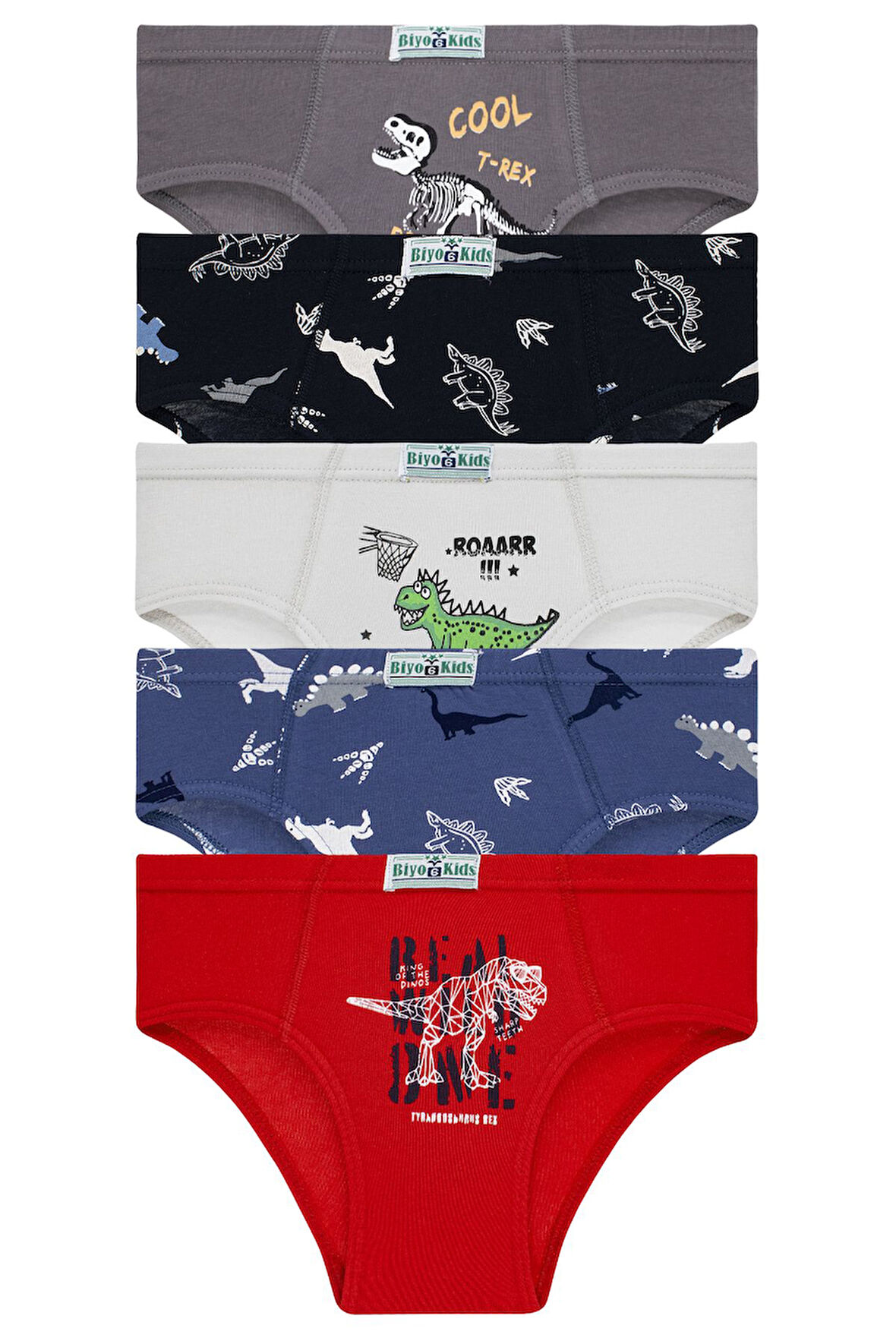 Erkek Çocuk 5'li Paket Renkli Slip Külot - Dinazorlar -