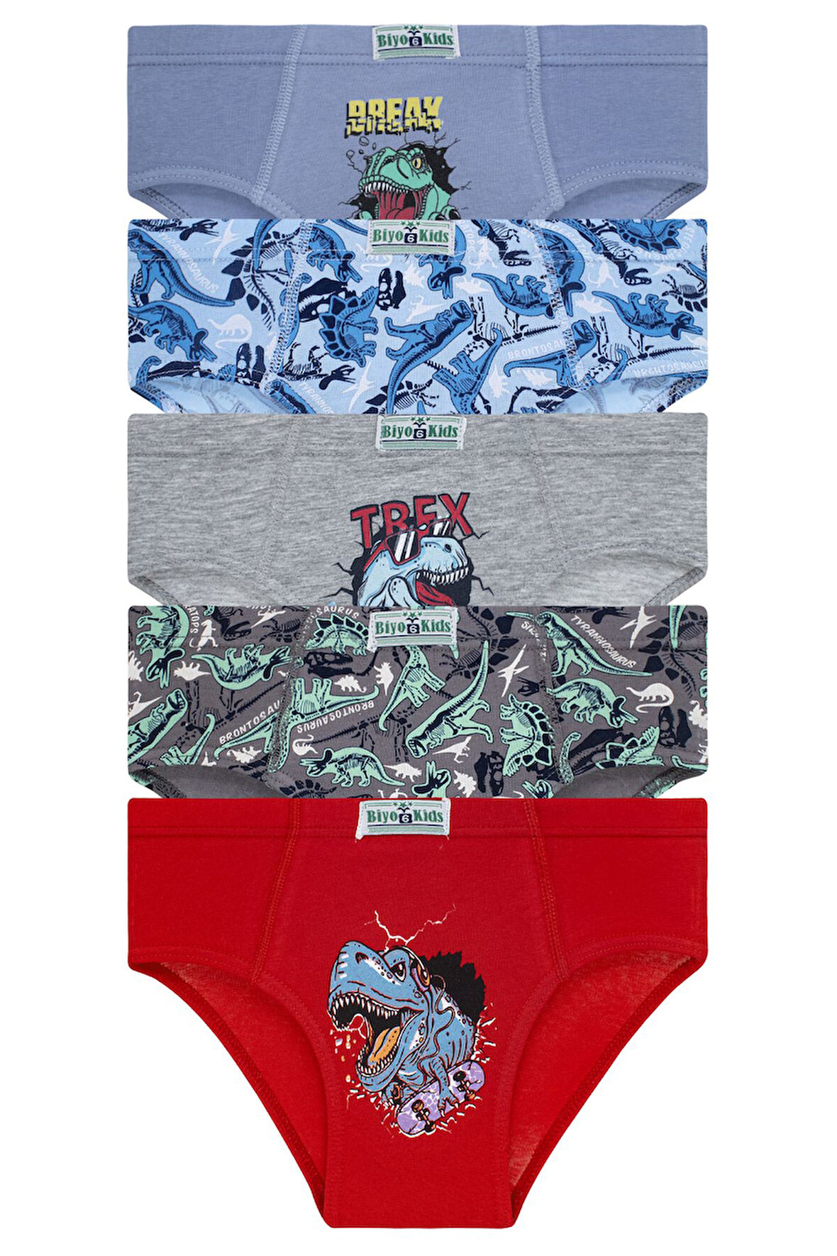 Erkek Çocuk 5'li Paket Renkli Slip Külot - Dinazor -