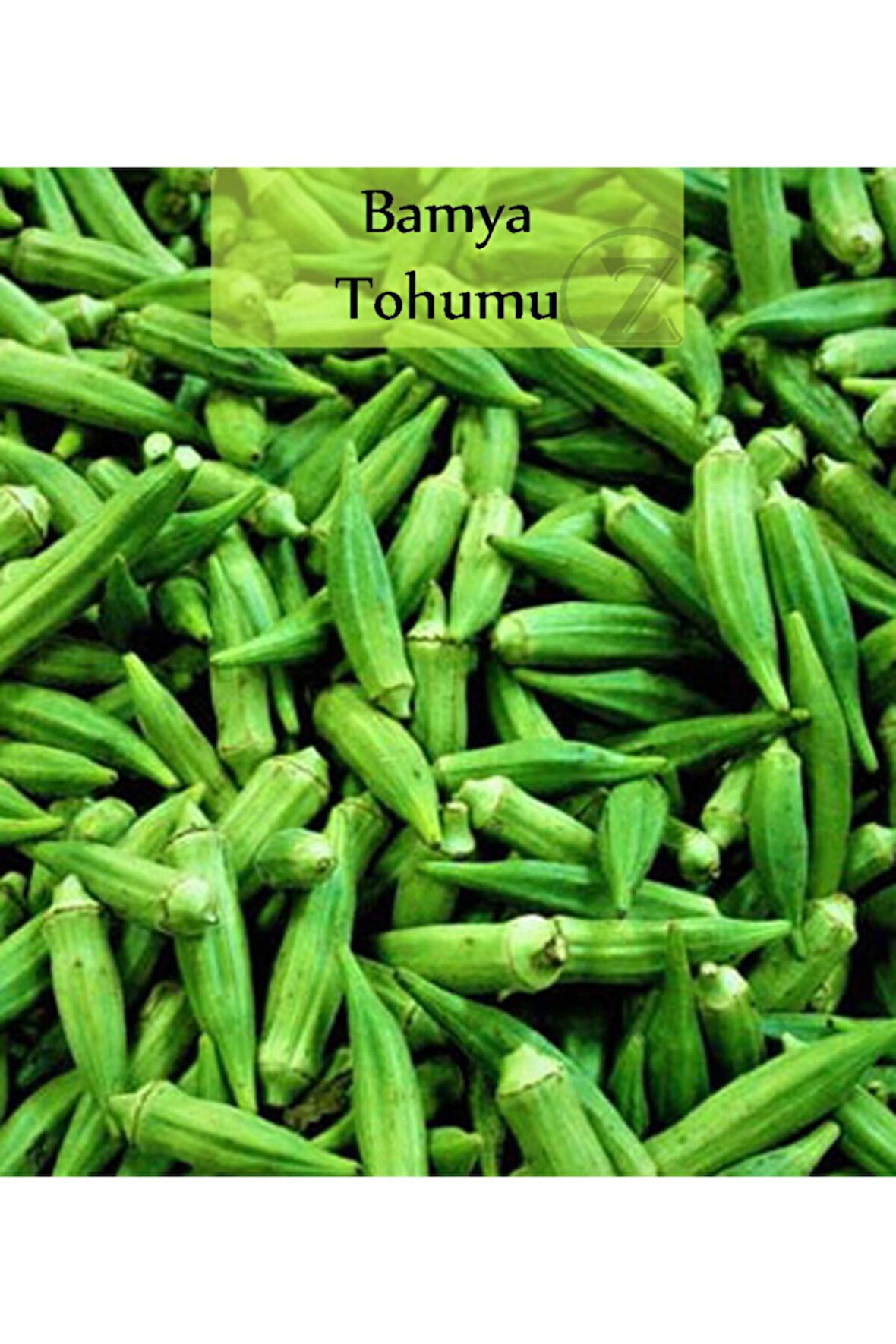 Bamya Tohumu 1 Paket  Tohumu Kapalı Paket Tohum Bamya Ekmelik