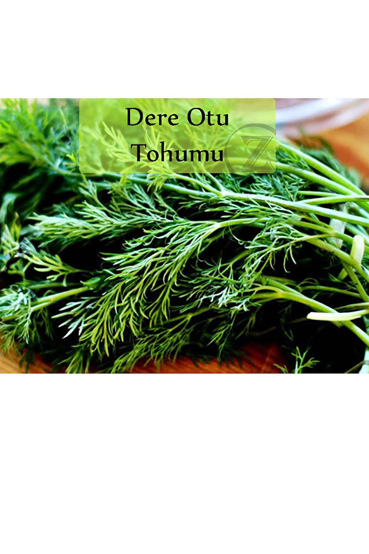 Dere Otu Tohumu 1 Paket (10gr=5000+ Adet) Gönen Dere Otu Tohumu