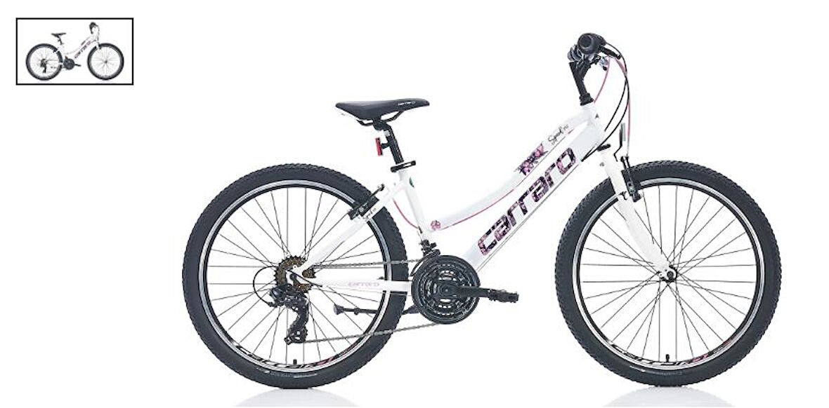 CARRARO SPEED 24  242 360H 21-V VB TOZ-PEMBE-MAVI-FUSYA-TURKUAZ-SIYAH R2